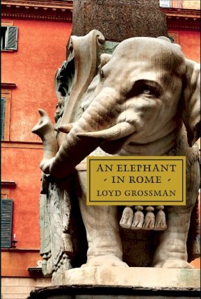 An Elephant in Rome